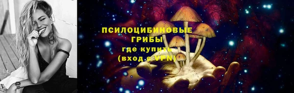 spice Алексин