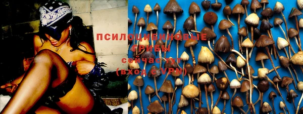 spice Алексин