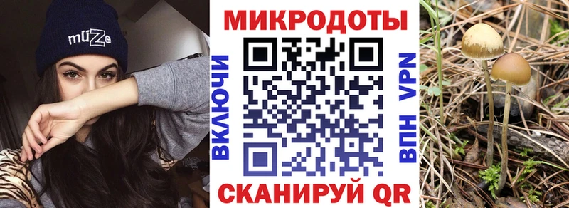 Галлюциногенные грибы Cubensis  где продают наркотики  Беломорск 