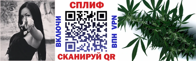 Марихуана Bruce Banner  Беломорск 